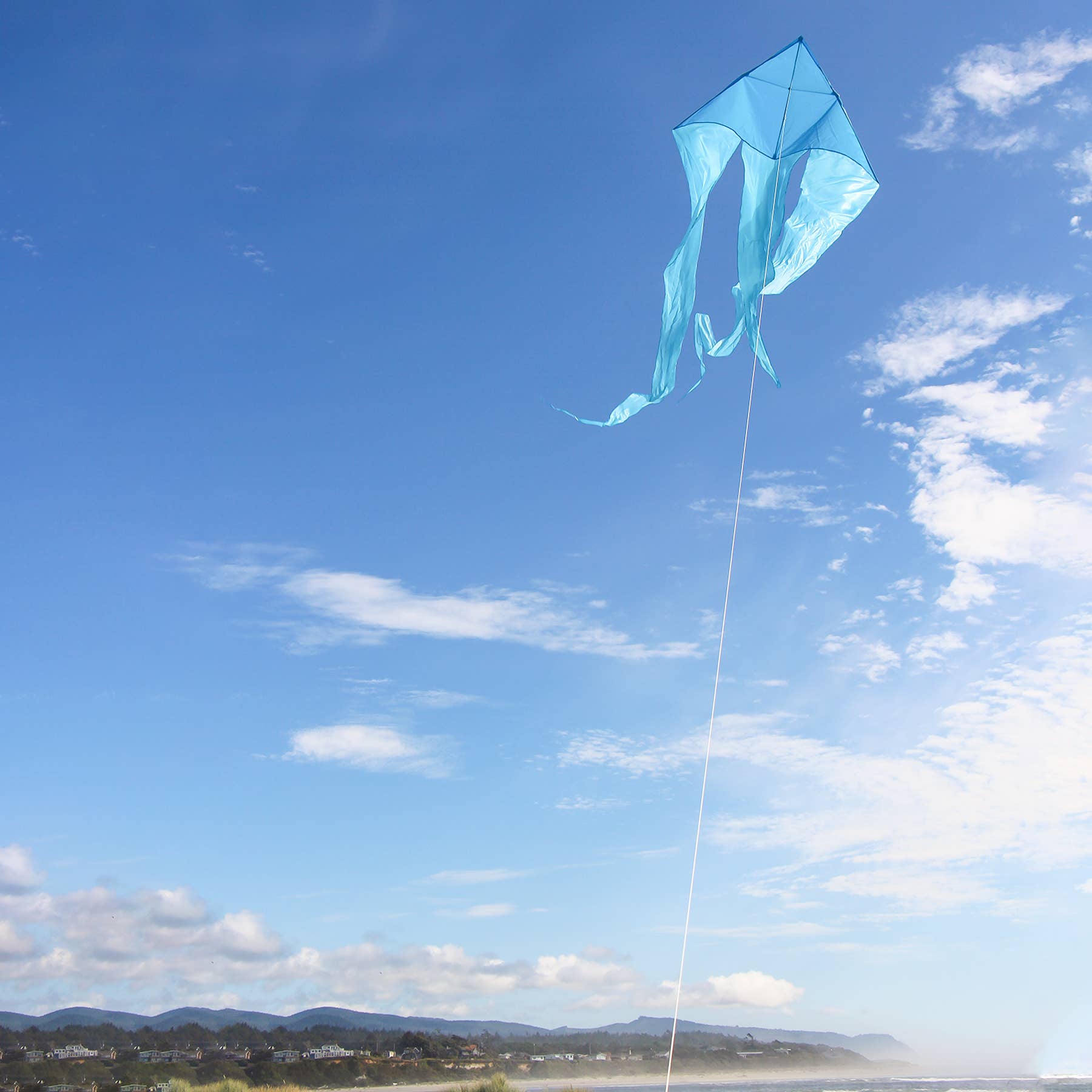 In the Breeze, LLC. - Wholesale Kite - Blue 77" Wave Delta Kite1