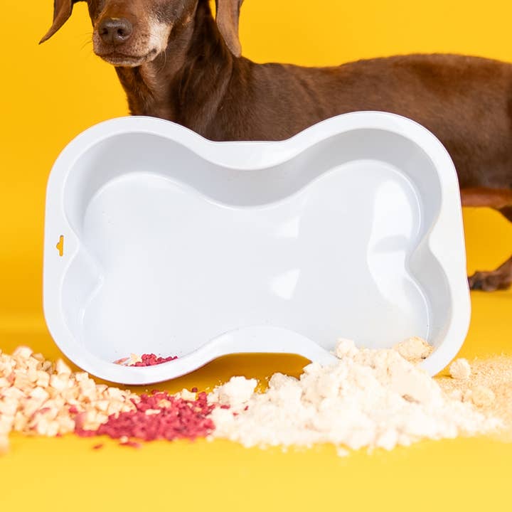 BONE-SHAPED CAKE TIN for wholesale by Dog & Bond – Award-Winning Pet Gifts & Dog Treat Kits