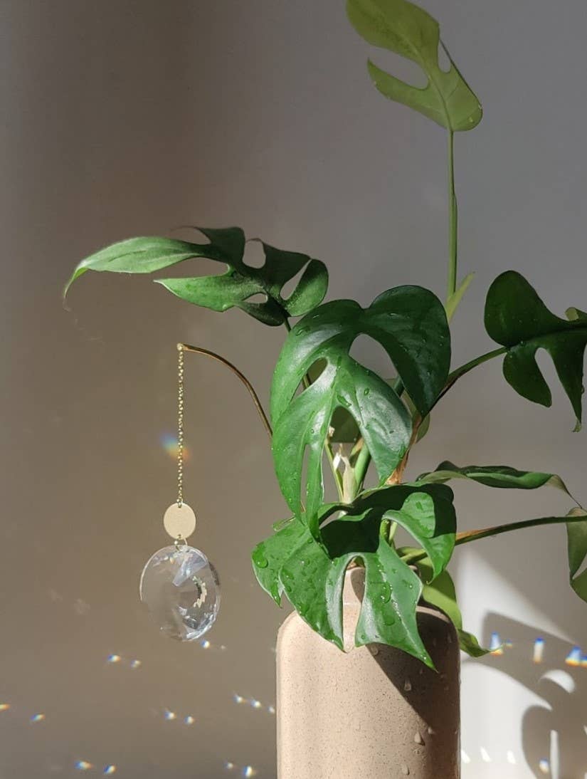 Atelier Intuitive - Vente Attrape-soleil - MAIA • Suncatcher à planter en laiton et cristal2