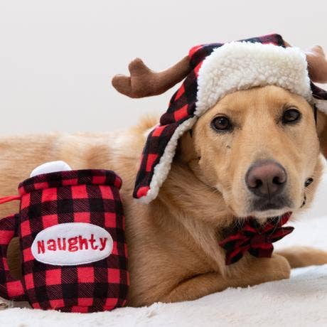 Huxley & Kent – wholesale Hatt - Hund – Huxley & Kent Buffalo Check-hatt med SnugFit® och horn3