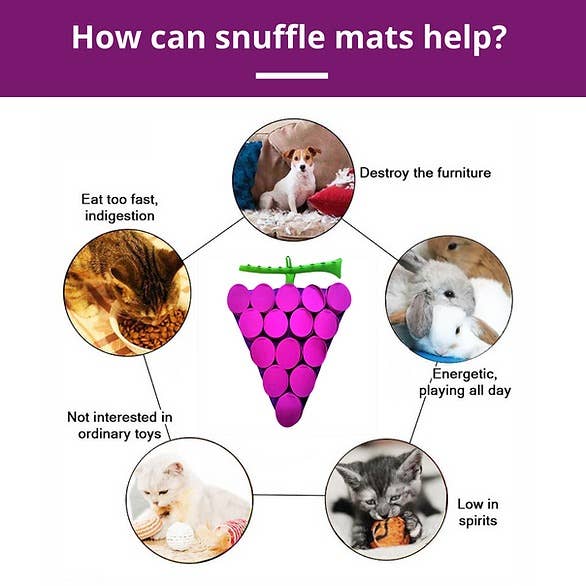 PawzNDogz - Wholesale Pet Food Mat - Dog - Forbidden Grapes ™ Snuffle Mat | Challenge Level 43
