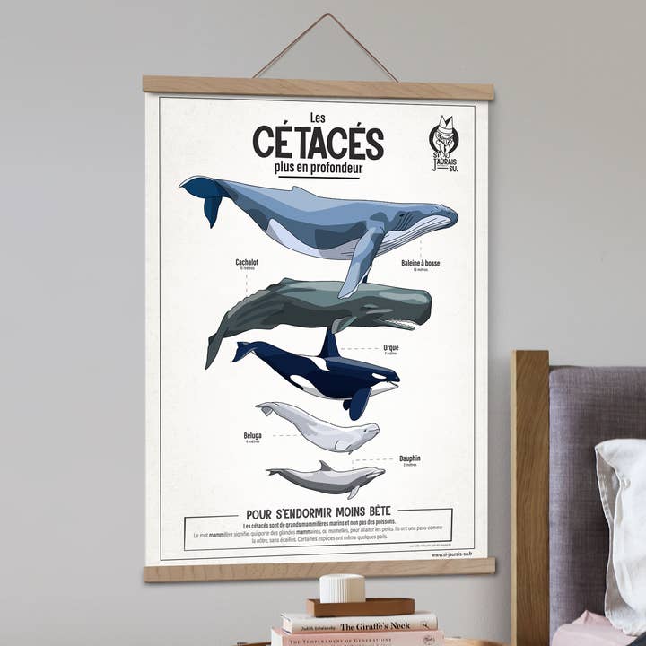Si J'AURAIS - SU - Vente Poster - Affiche Les Cétacés