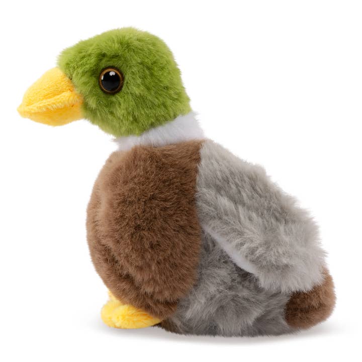 Keycraft - Wholesale Stuffed/Plush Toy - Kids & Baby - Living Nature Smols Mallard Duck Plush Stuffed Animal Toy1