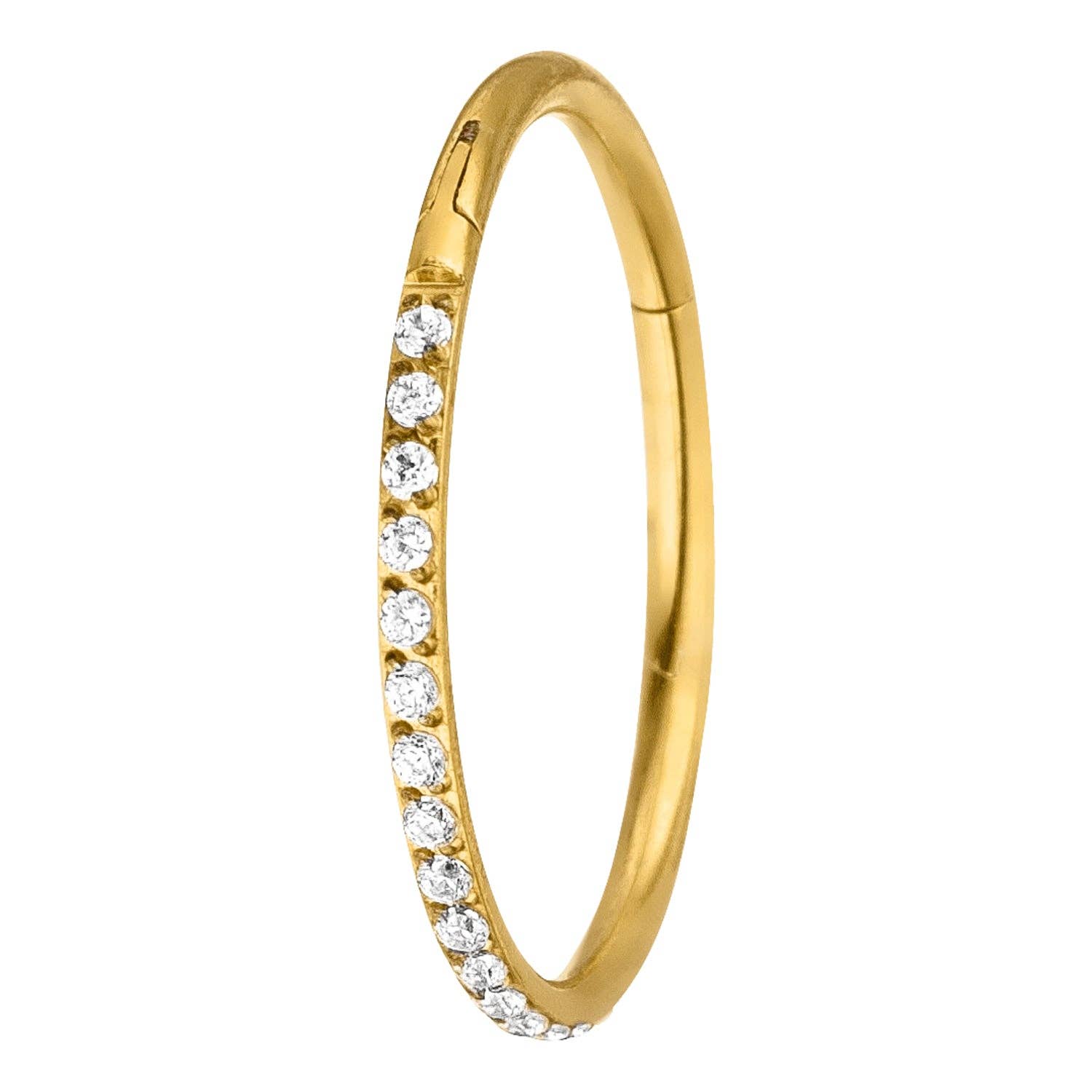 Schmuckgroßhandel - Venta al por mayor Pendiente sin pareja - Piercing Conch Clicker de titanio6