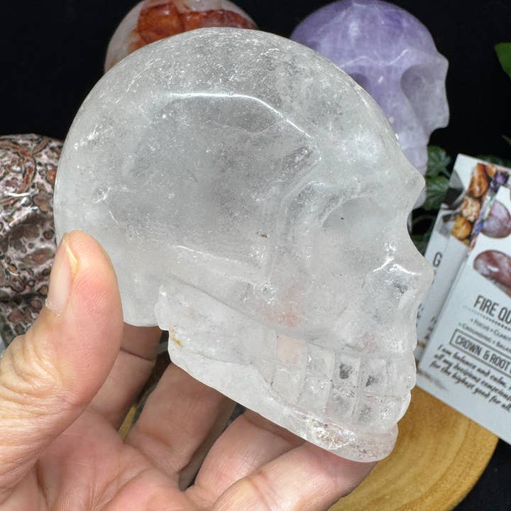 The 7 Directions - Wholesale Spiritual Stone/Crystal - 6 pc Ocean Jasper Leopardite fire quartz skull bundle G80513