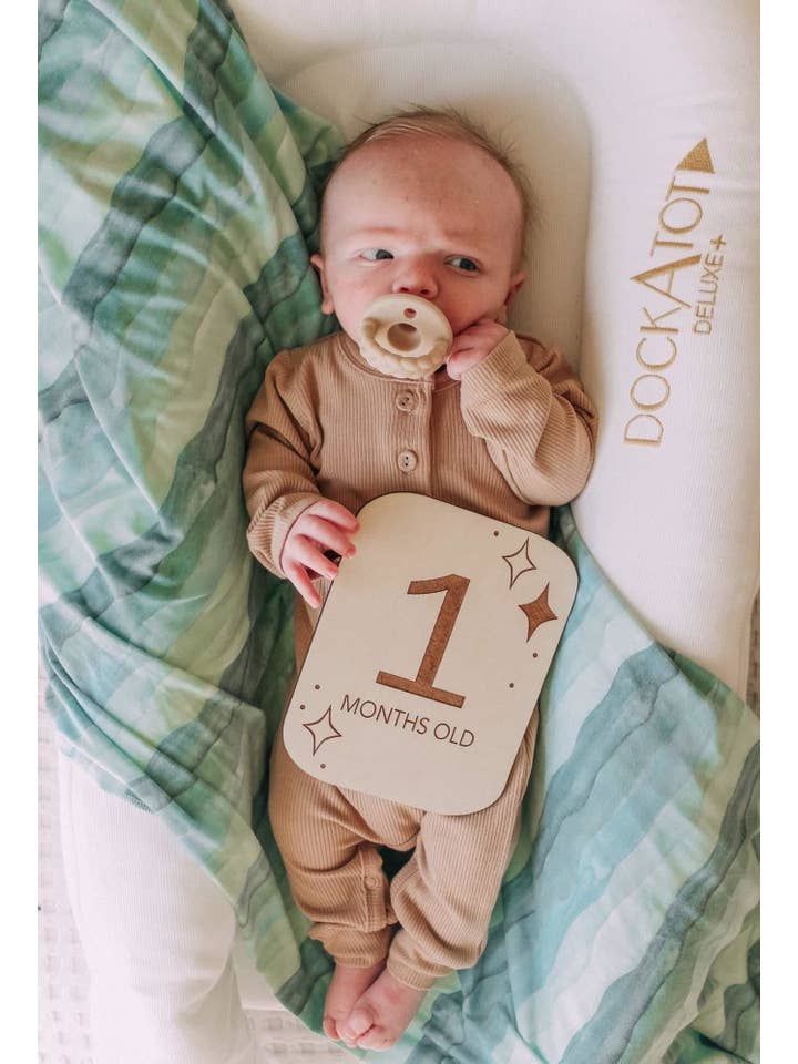 Earth Baby Outfitters - Wholesale Jumpsuit - Baby - Bamboo Ribbed Long Sleeve Henley Romper2