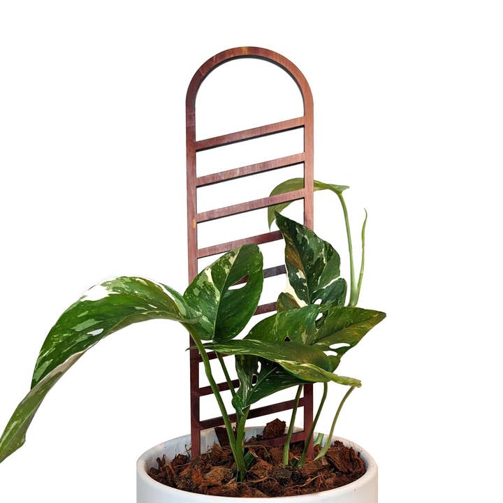 Enrejado de plantas de interior de arco para venta al por mayor de Growinshade