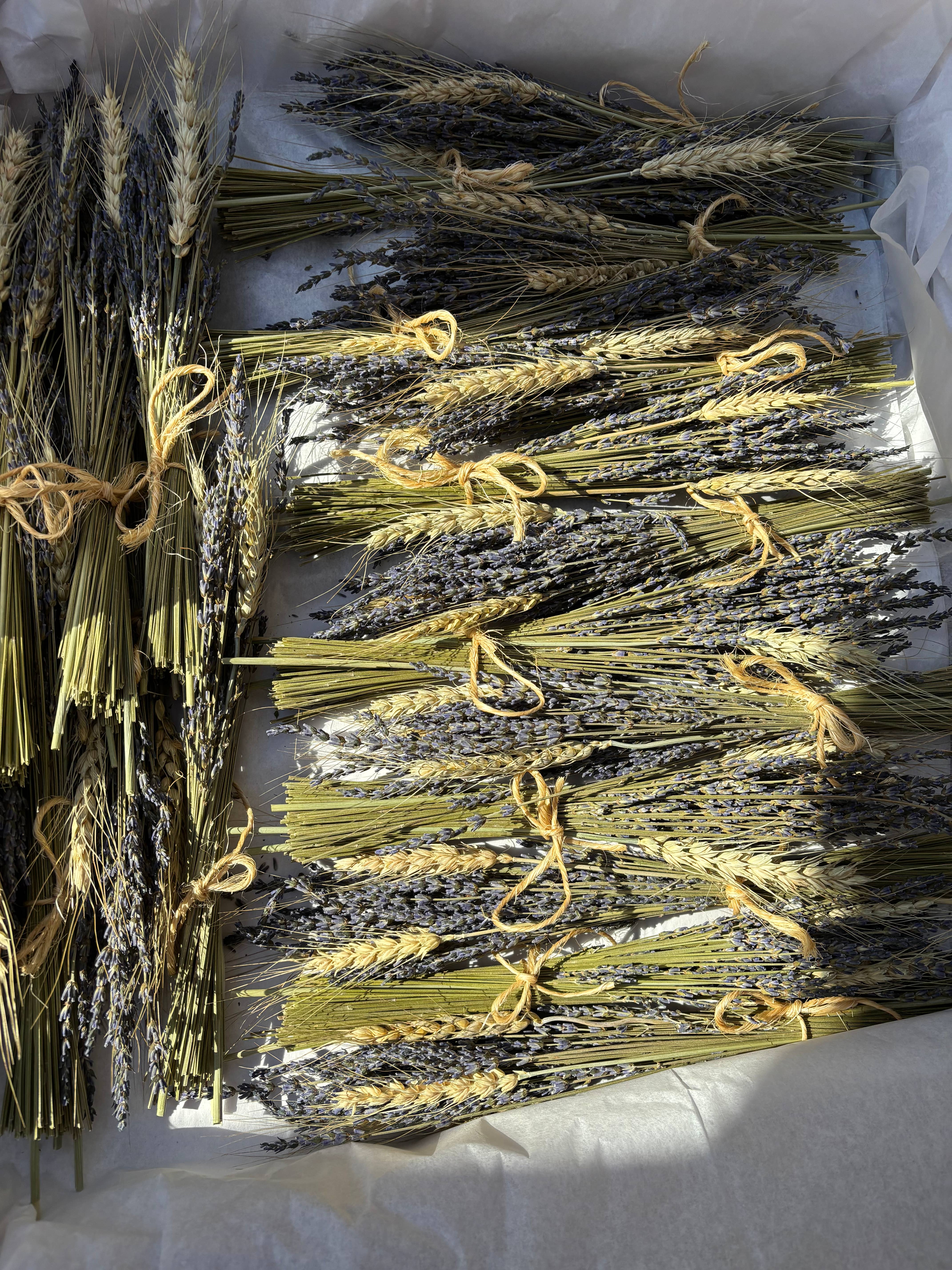 Lavender Creek Farm - Wholesale Dried/Pressed Flowers - Dried Lavender Mini-Bunches3