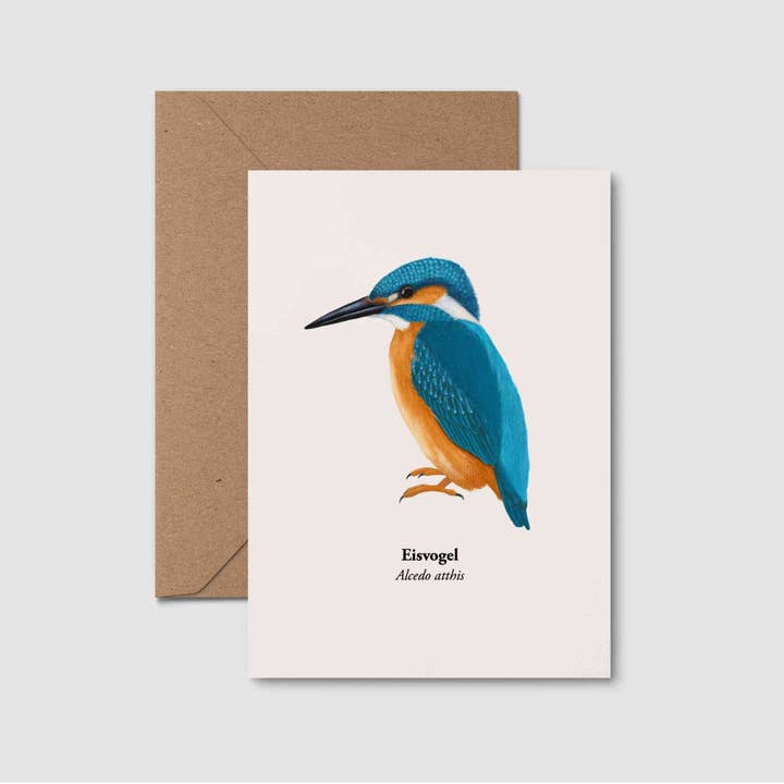 Carte postale Kingfisher, carte de vœux pour amoureux de la nature, carte oiseau pour la vente par Terillu