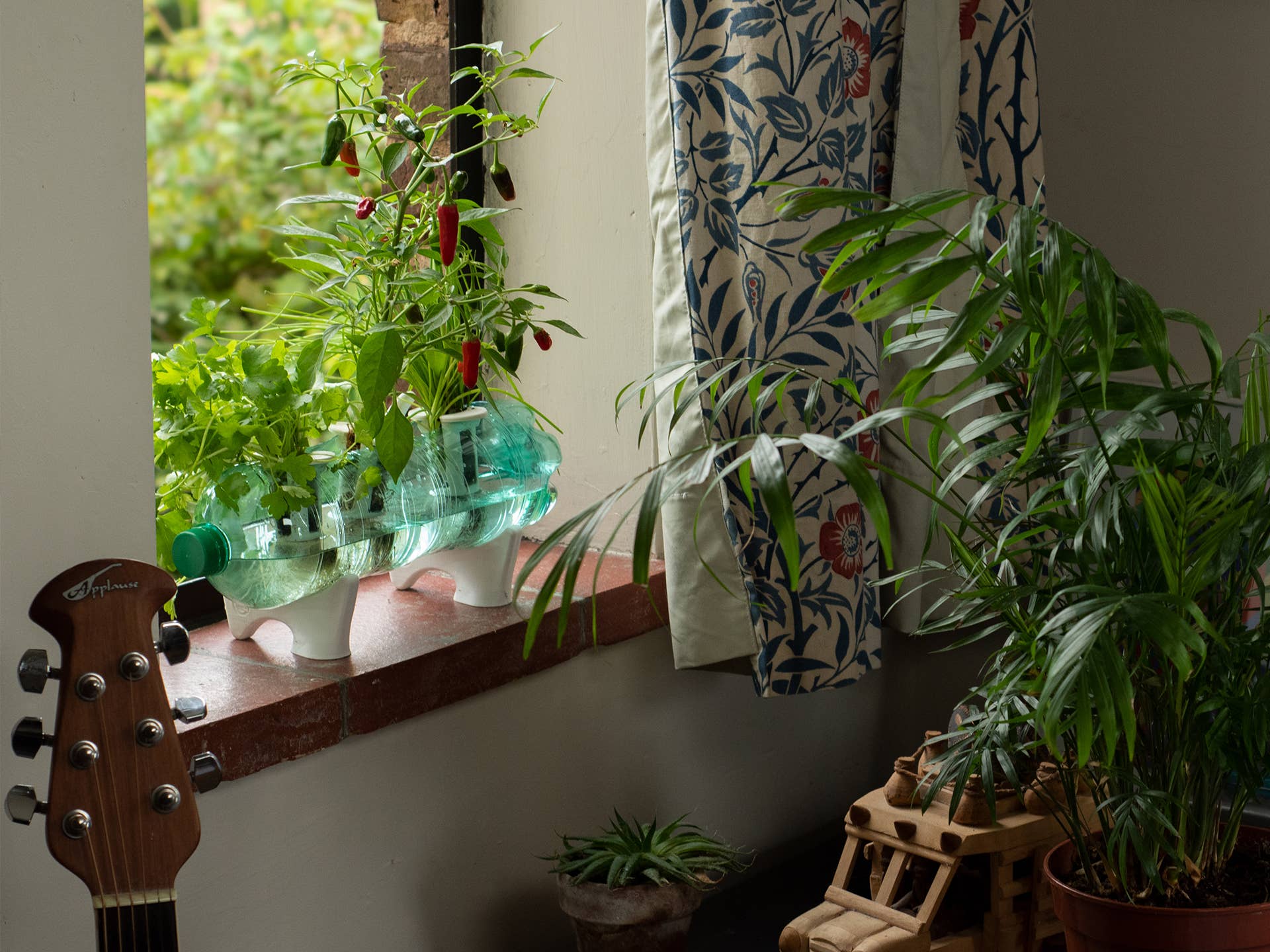 Shroot: Kabloom Seedboms – wholesale Plant seeds – The Bottle Farm - Hydroponic Garden Grow Herbs & Vegetables11