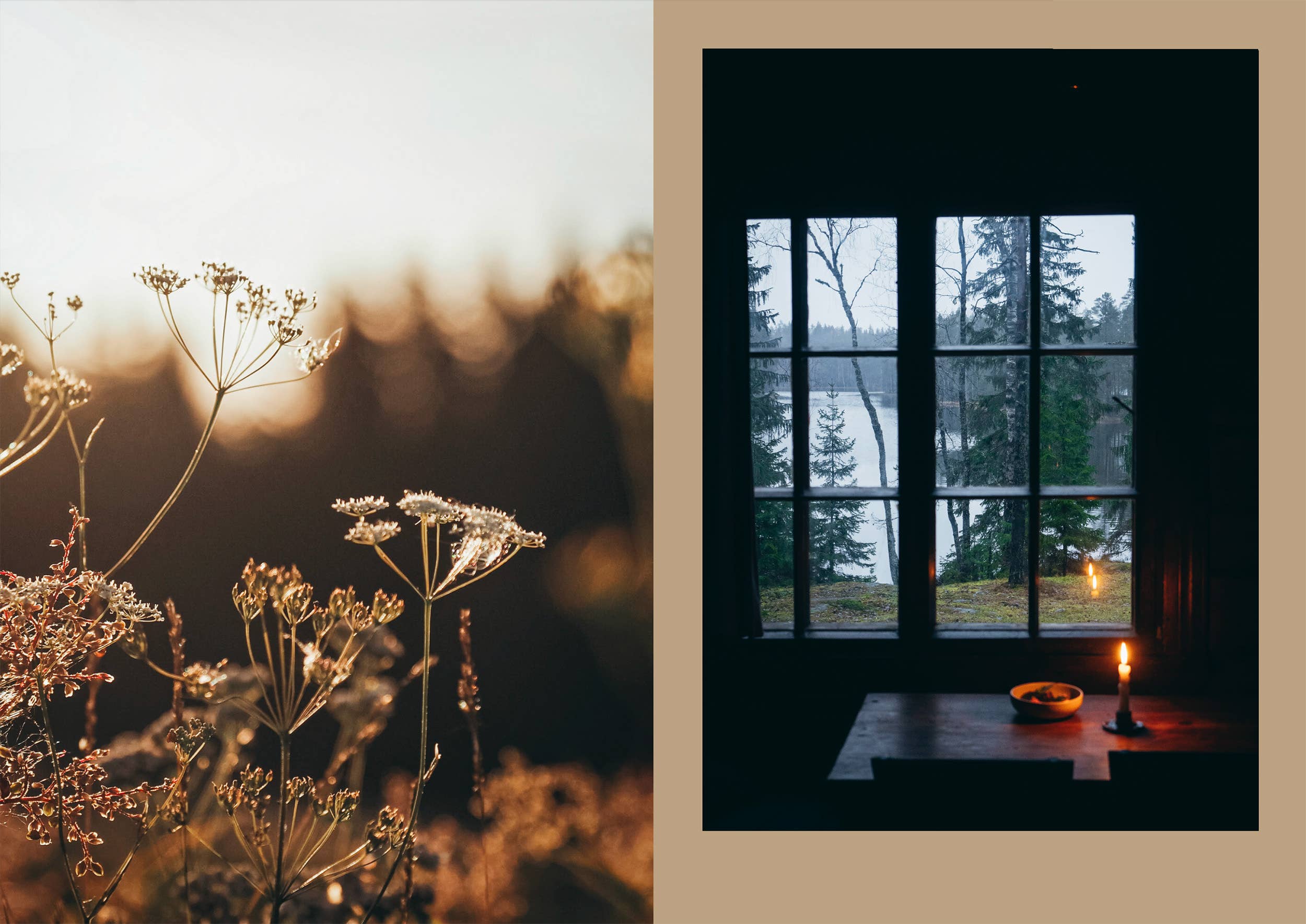 Cozy Publishing - Vente Cuisine et gastronomie - Quatre saisons de cuisine en chalet7