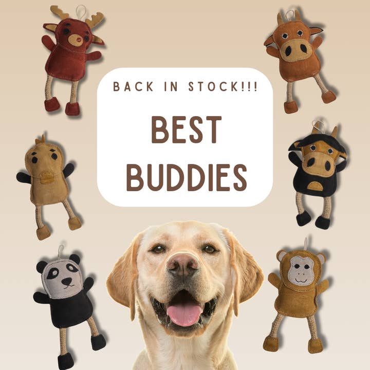 All-Natural Besties for Dogs. Six animal options! and other Purchase Wholesale plush dog toys. Free Returns & Net 60 Terms on Faire trending on Faire.