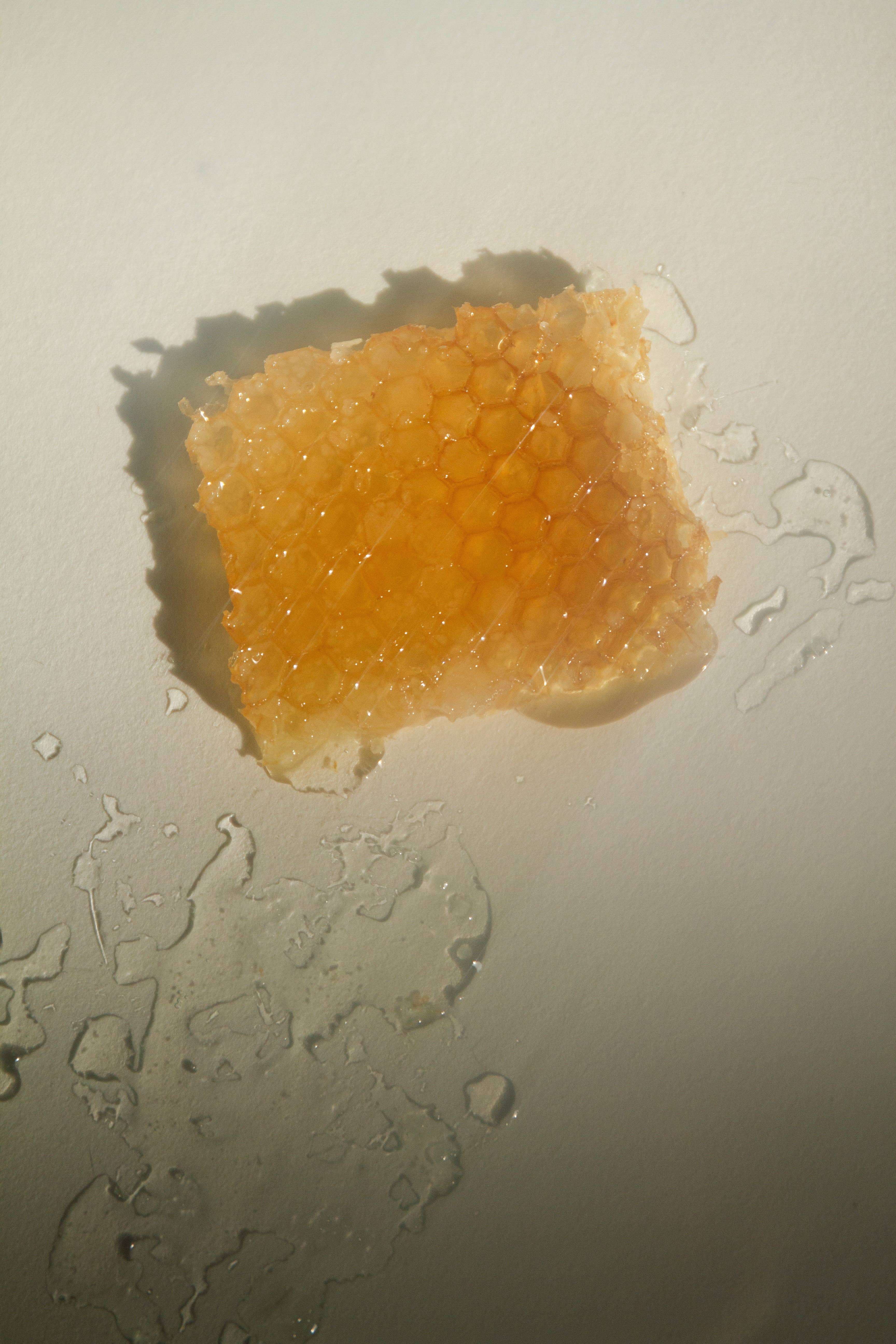 SUMMER SOLACE- Regenerative Tallow Beauty - Wholesale Jar/Filled Candle - Pure Unscented Candle – Tallow & Beeswax, 6 oz2