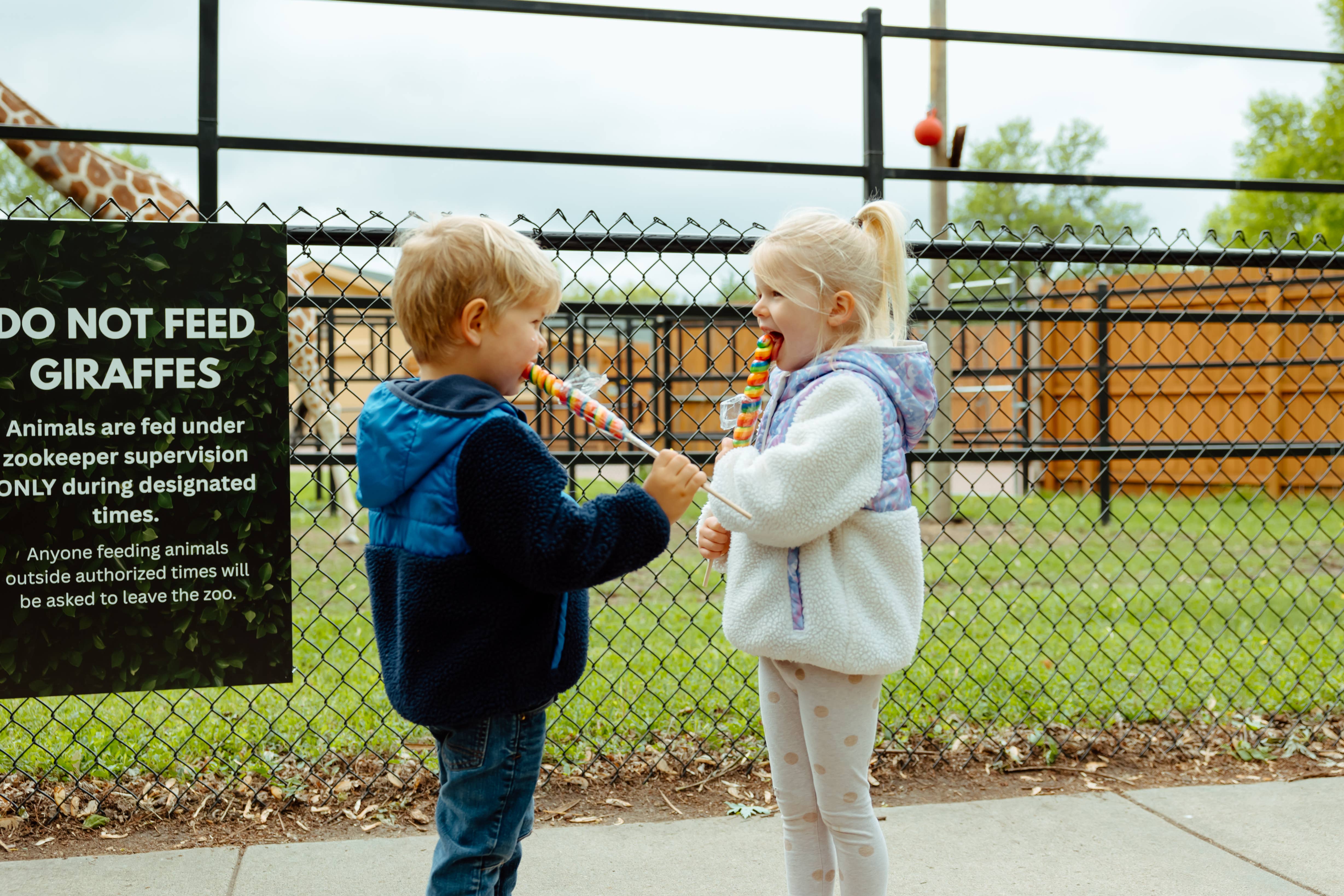 The Petting Zoo - Vente Sucettes - Singe pirate en peluche Lolly de 6 po (15 cm)4