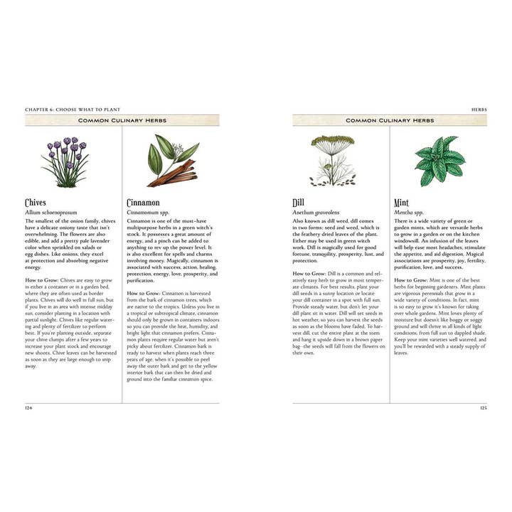 Simon & Schuster - Wholesale Body, Mind & Spirit - Green Witch's Garden by Arin Murphy-Hiscock5