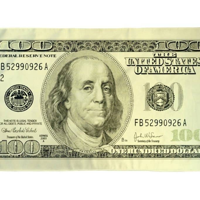 Hundred Dollars Flag 3x5ft Poly for wholesale by Flags Importer