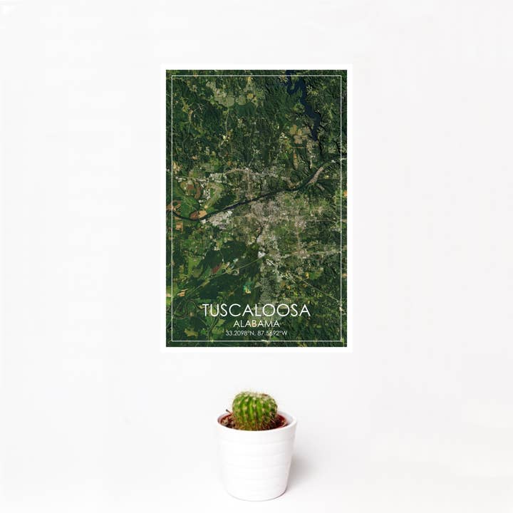 JACE.design - Wholesale Art Print - Tuscaloosa AL Map Print Satellite