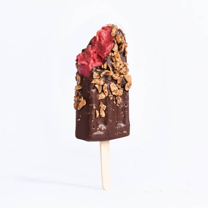 normal® ice cream - Wholesale Ice Cream/Sorbet - trashberry™ sorbet bar