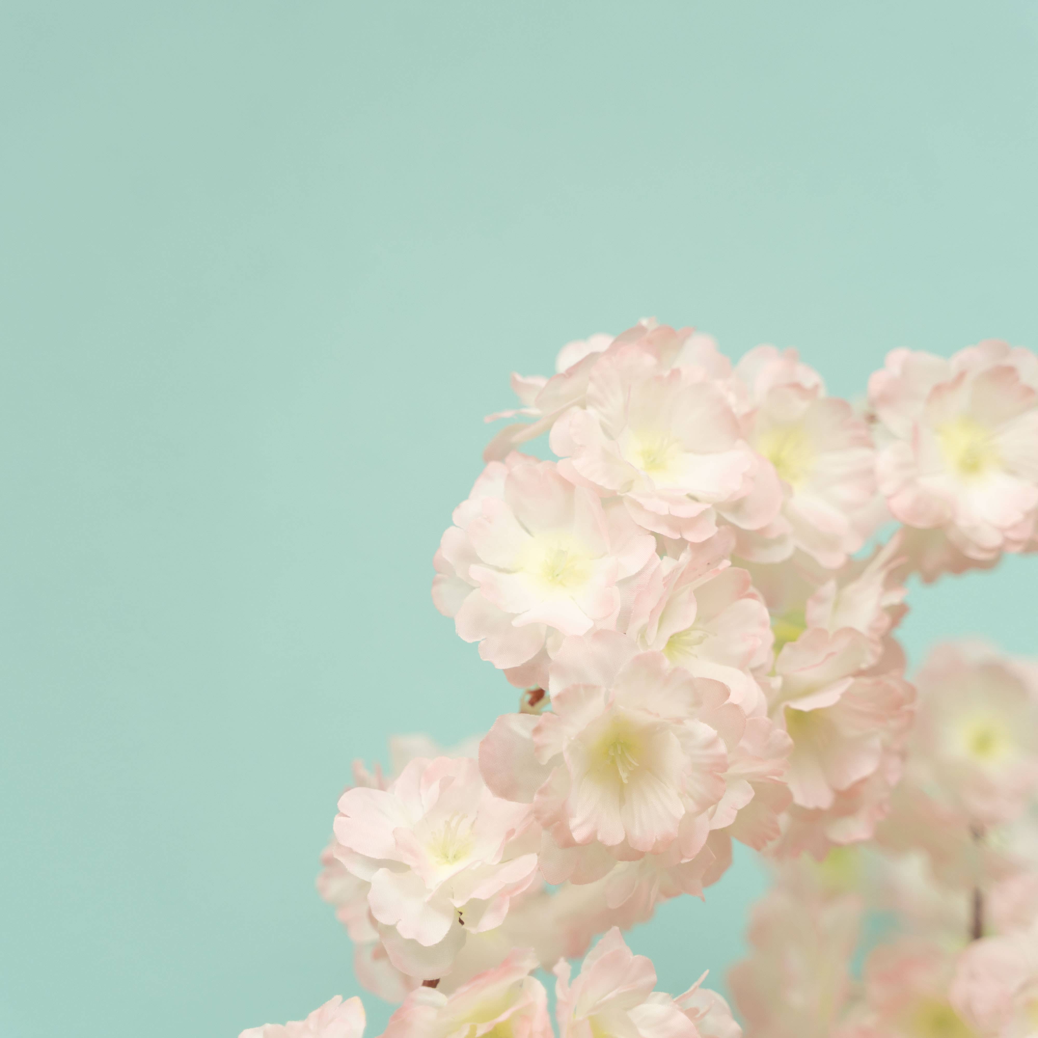 Portofino International Trading, USA - Wholesale Artificial Flowers - Artificial Cherry Blossom Branch - Pink3