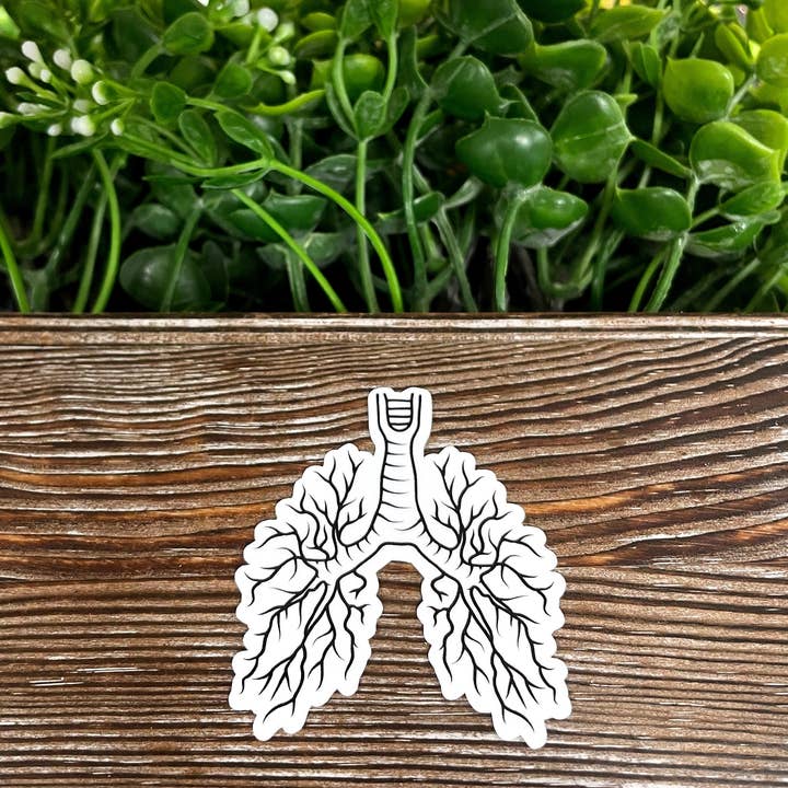 Lungs Graphic, Die Cut Vinyl Sticker, Water Resistant, Botanical Anatomy, Pulmonology Gift, Medical Student |Sticker or Magnet for wholesale by Handmade by Marlayna