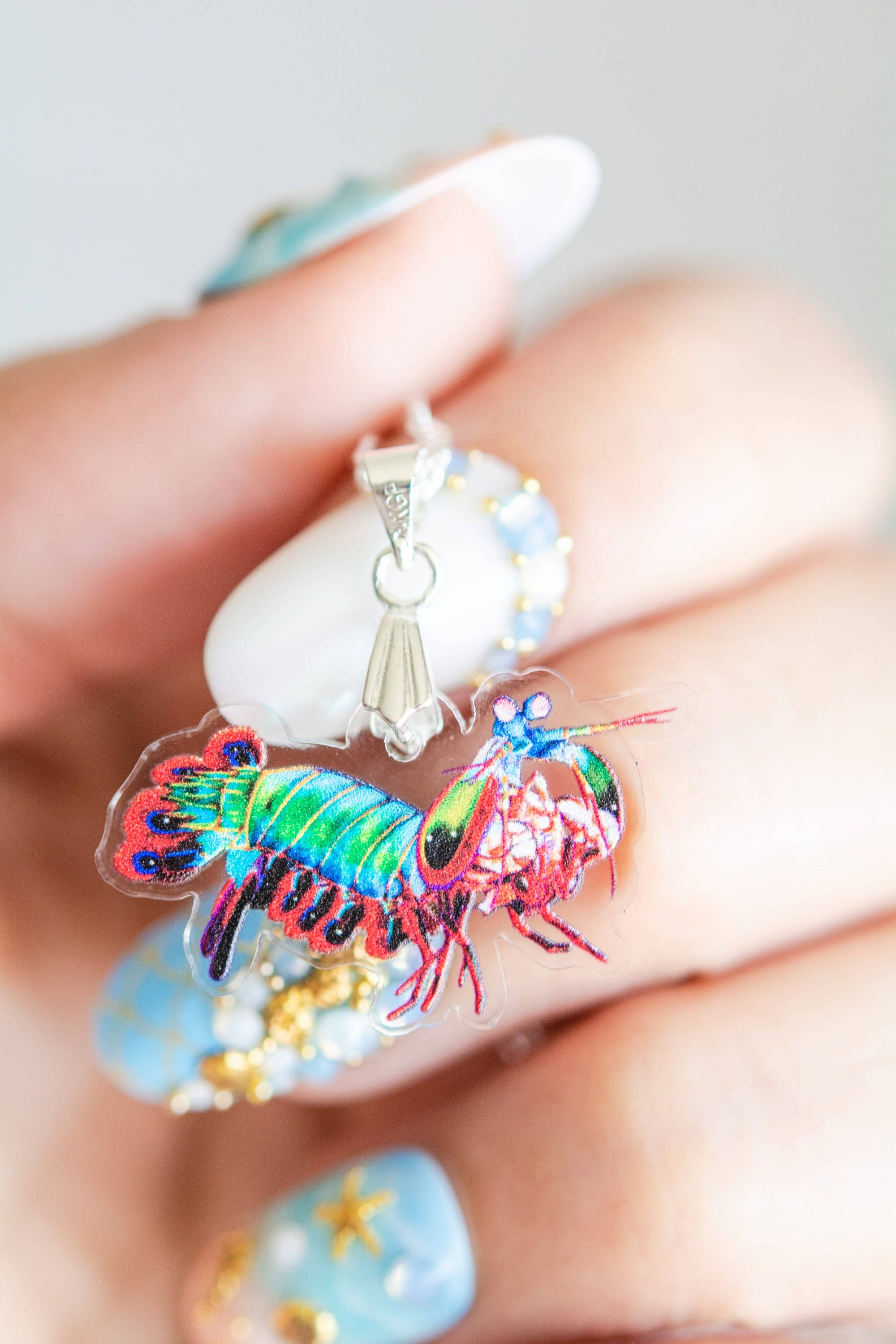 The Slug And Kraken - Wholesale Dangle Earrings - RECYCLED- Peacock mantis shrimp Statement Earrings, Necklace3