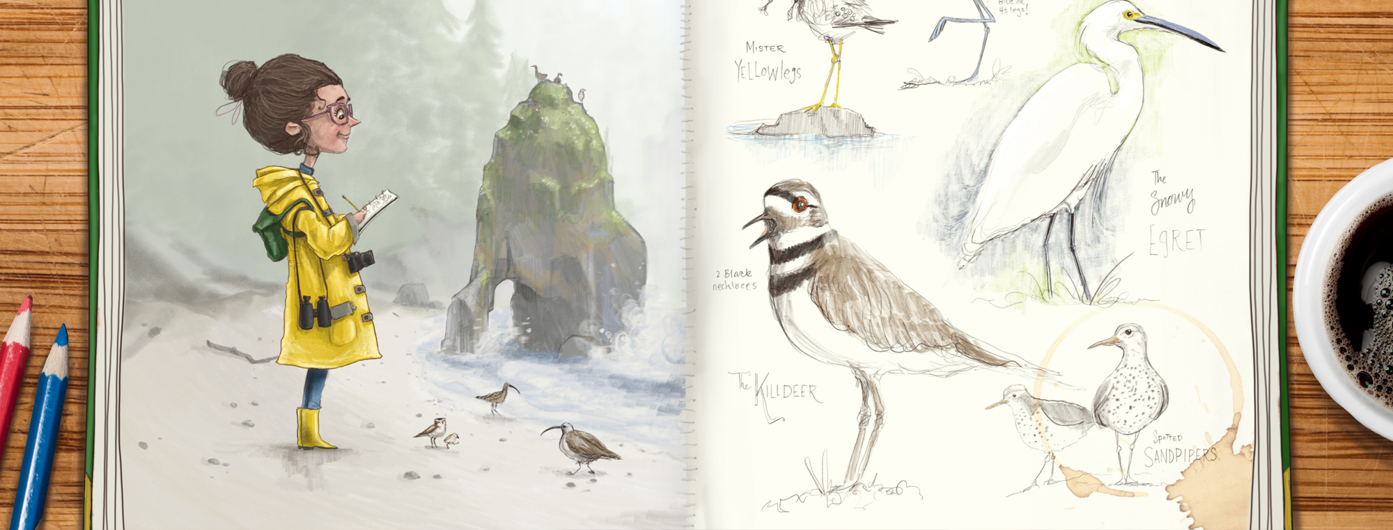 Mark Ludy Art Books & Games - Vente Roman graphique - Birdie's Field Guide - Livre illustré signé par Mark Ludy3
