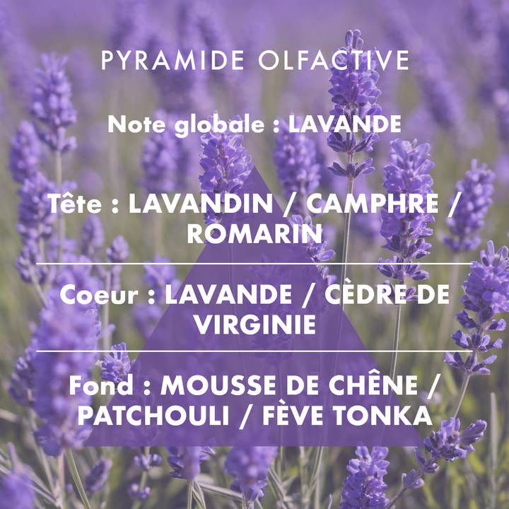 L'Échoppe Buissonnière – Großhandel Kerze im Glas / gefüllte Kerze – Lavendel - Duftkerze 180g3