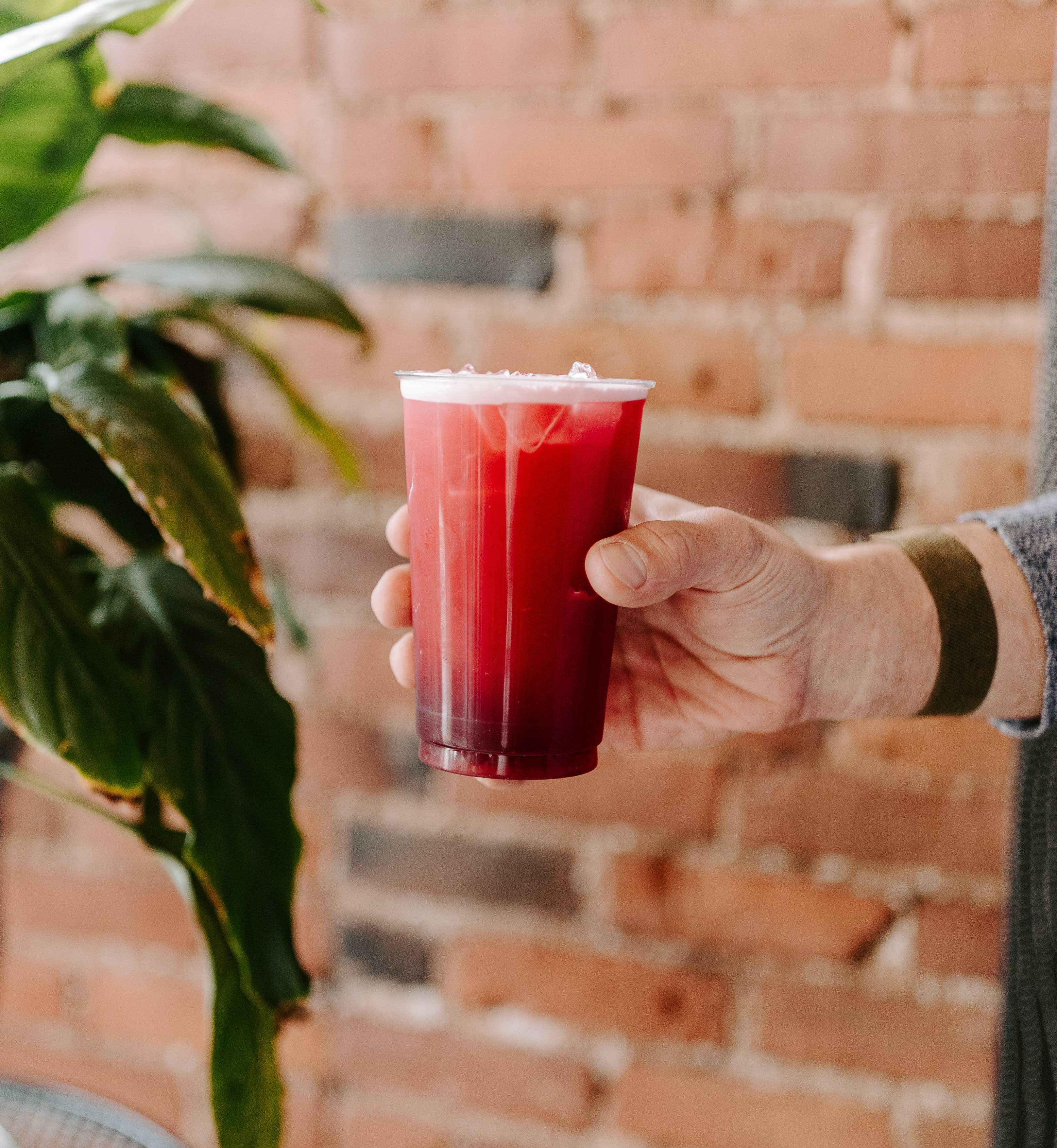 QUIVR - Wholesale Iced Tea - Nitro Hibiscus Iced Tea 12oz Cold Brew Drink | Keto | Paleo4