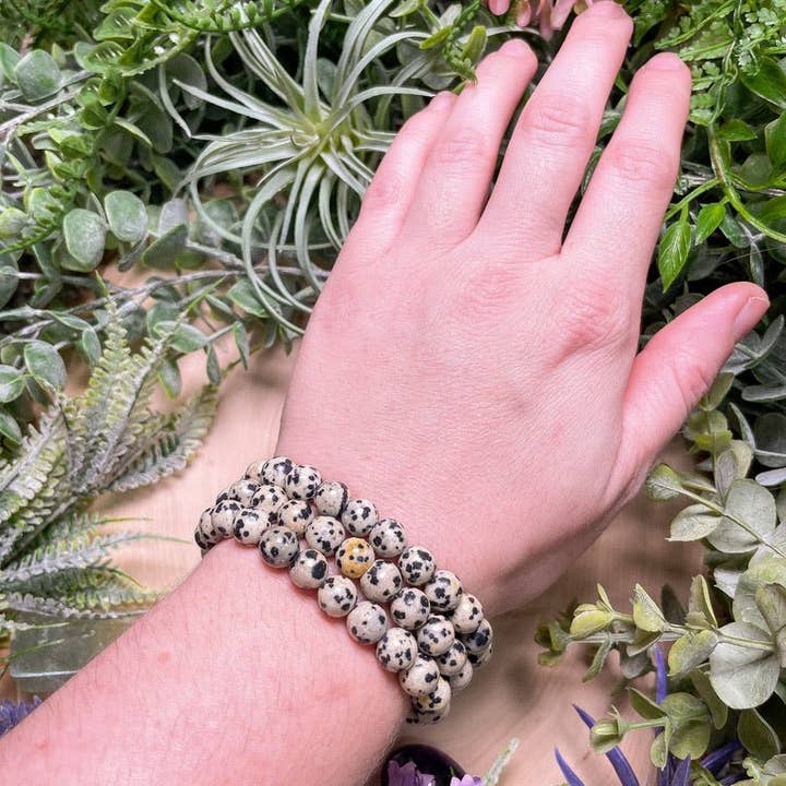 Copper Ashes - Wholesale Beaded Bracelet - 8mm Beaded Dalmatian Jasper Bracelet5