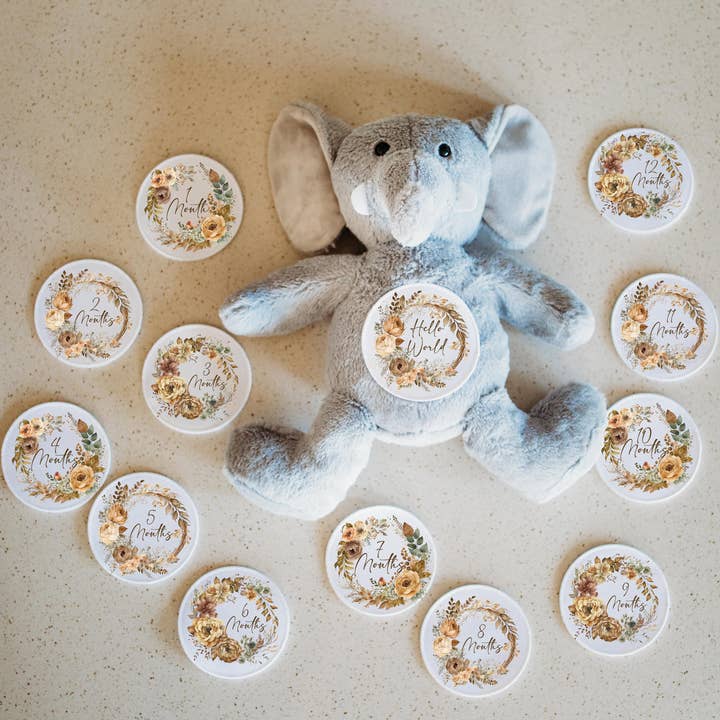 Grow With Me Baby Co - Wholesale Stuffed/Plush Toy - Kids & Baby - Baby Monthly Milestones, Elephant Stuffed Animal4