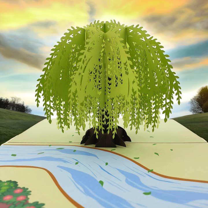 Color Pop Cards - Wholesale Everyday Greeting Card - Willow Tree 3D Pop Up Card