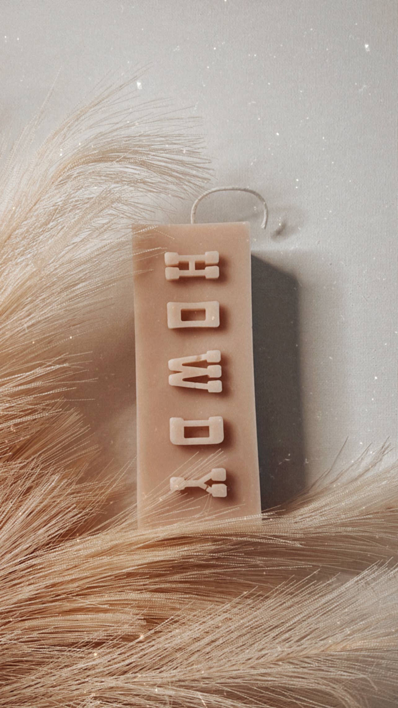 Dusty Rose Bodega - Wholesale Novelty Candle - HOWDY block5