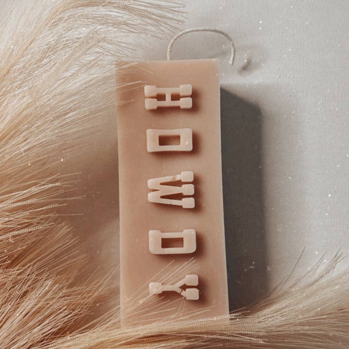 Dusty Rose Bodega - Wholesale Novelty Candle - HOWDY block5