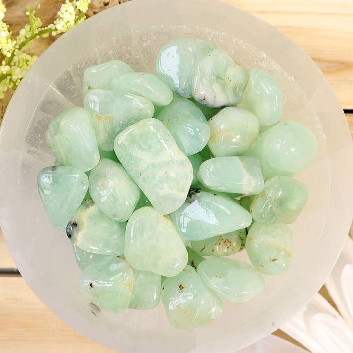 1 lb Prehnite Tumbled Stones and other Purchase Wholesale lohnhersteller make up. Free Returns & Net 60 Terms on Faire trending on Faire.