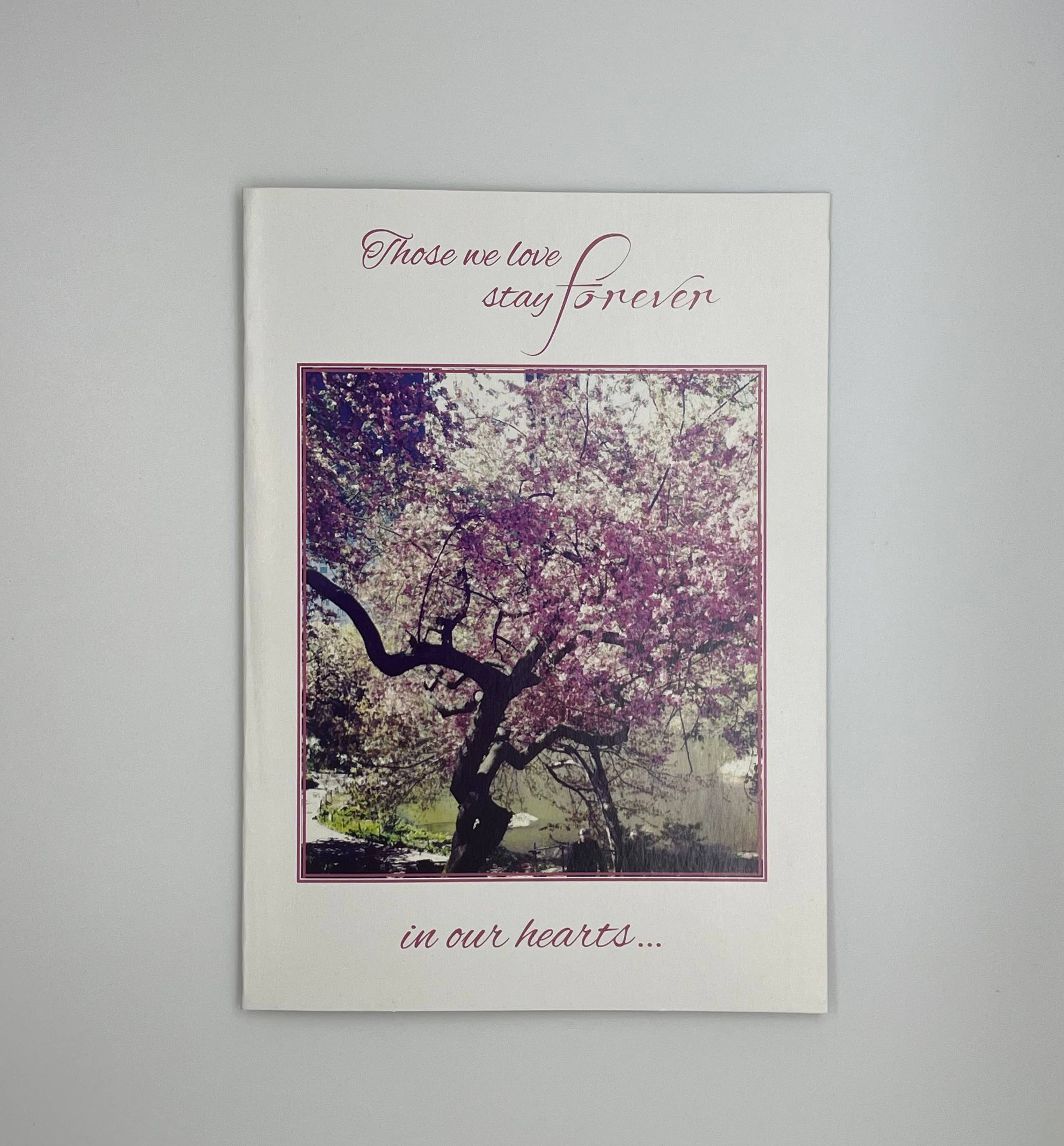 Gracefully Yours - Vendita all'ingrosso Biglietti di condoglianze - Biglietti di condoglianze «Come Unto Me» (4 motivi, confezione da 12)1