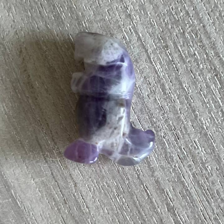 Luna Rae - Wholesale Spiritual stone/crystal - Mini T-Rex11