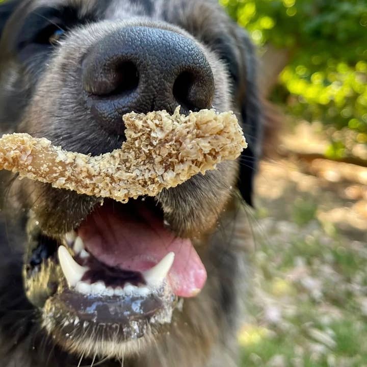 Rover Pet Products - Wholesale Pet treats – Dog - Belly Flop