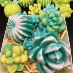 Ideal Soaps - Wholesale Gift Box - Soap Succulent Gift Box5
