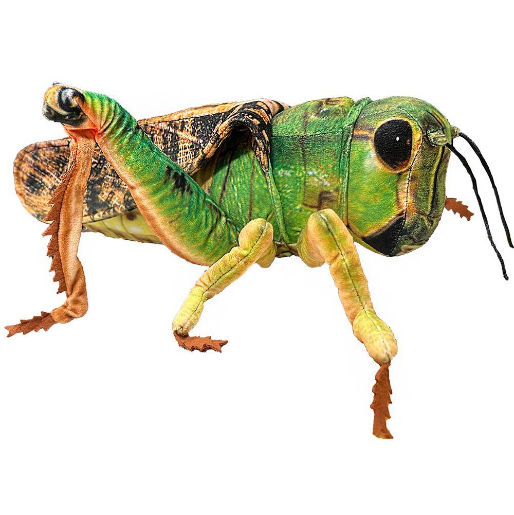 Texas Toy Distribution – wholesale Fyllda/plyschleksaker - Barn och baby – Gräshoppa Insekt Plysch 15" Realistiskt Gosedjur0