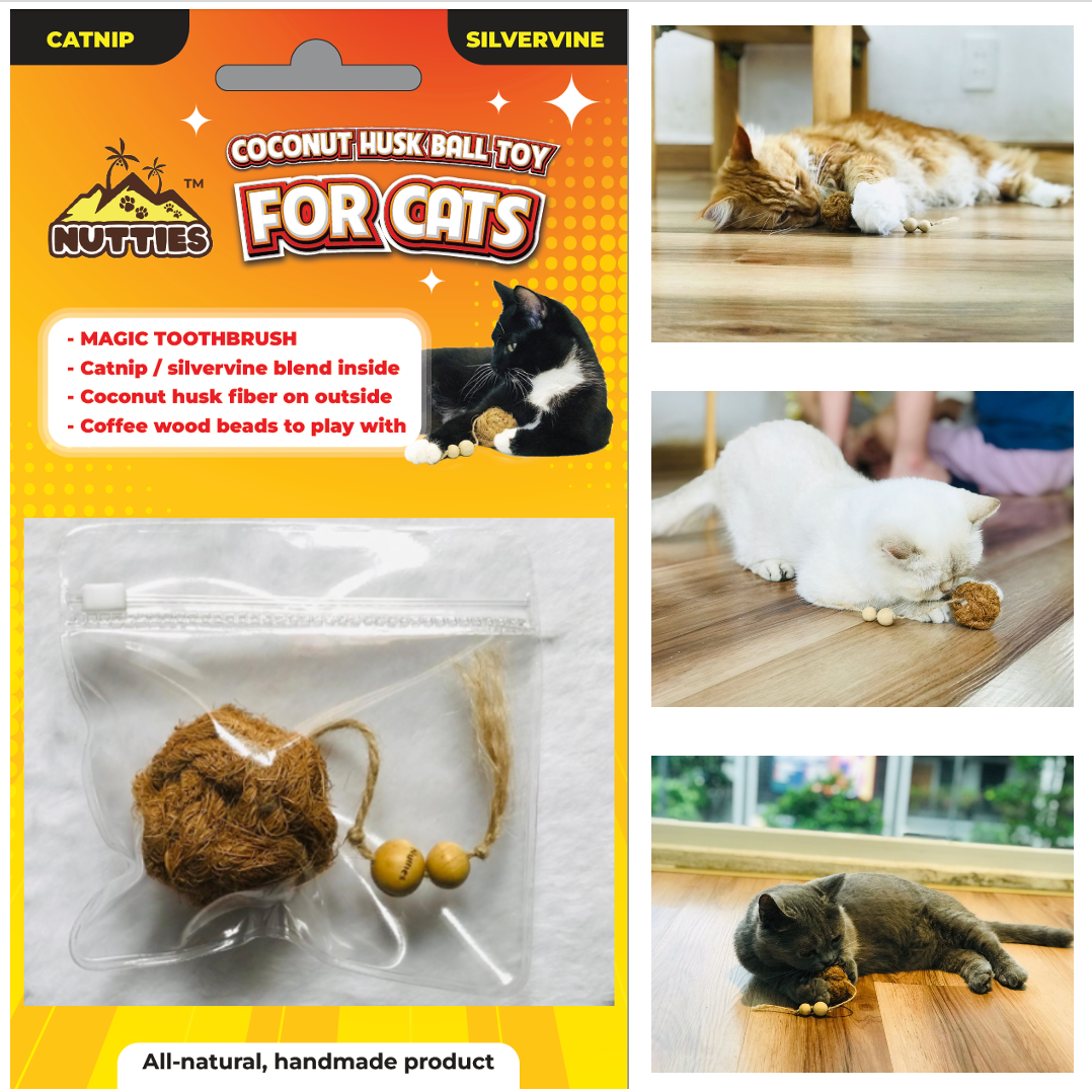 Woodies dog chew toys - Wholesale Pet Chew Toy - Dog - Woodies coffee wood dog chew toys (4 sizes)8