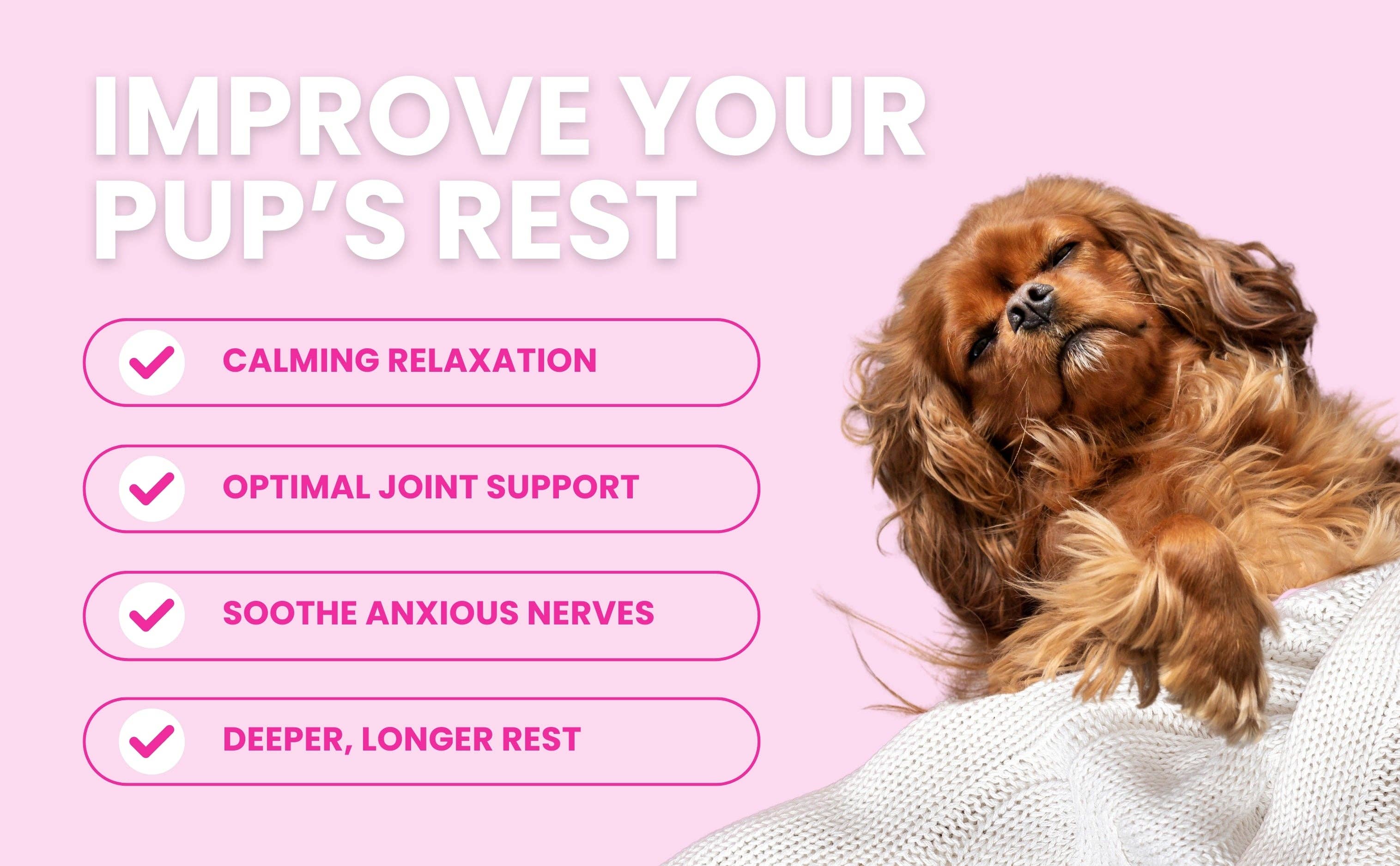 Glow Pups - Vendita all'ingrosso Letto - Cani - Graziosa cuccia per cani a righe rosa4