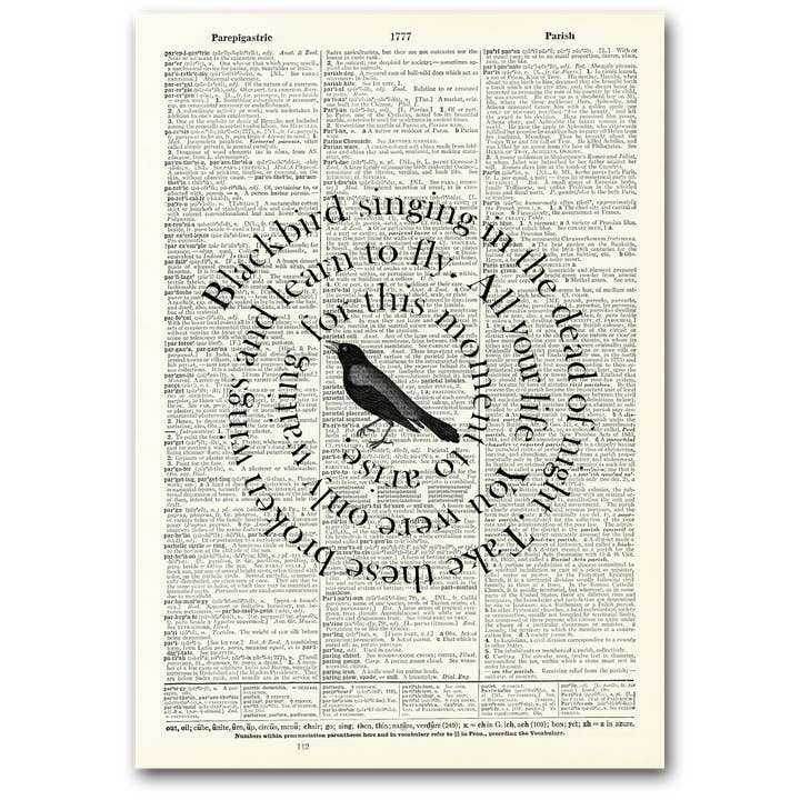 Art | Dictionary Page | Vintage | Black Bird Singing for wholesale by Vintage Dictionary Art