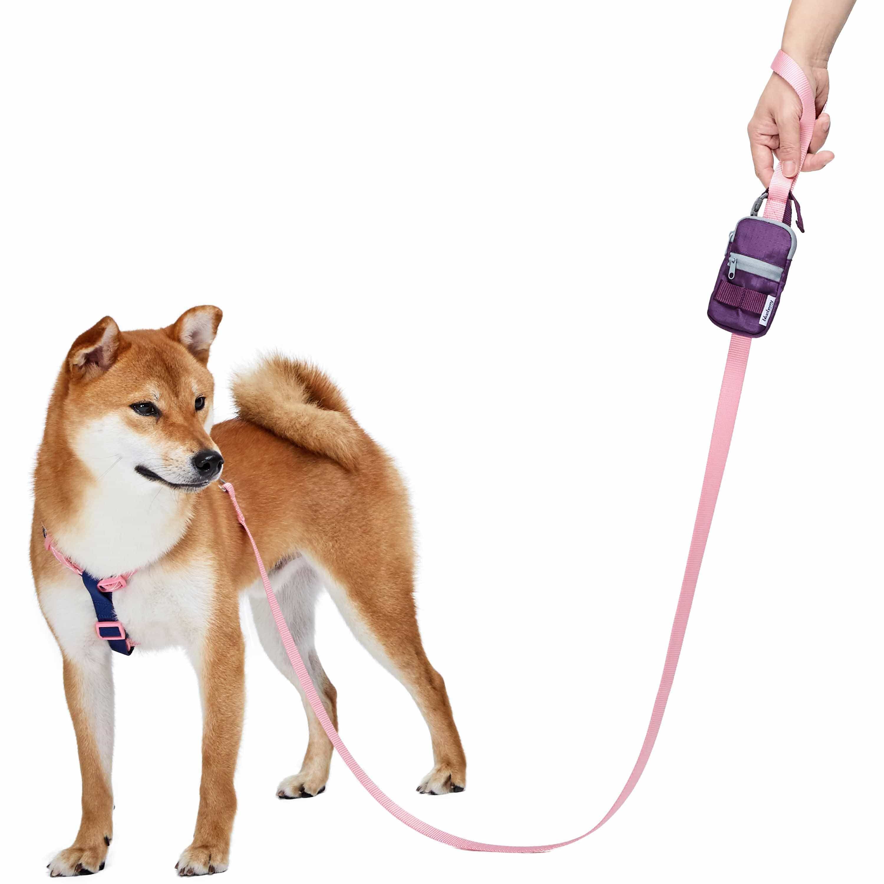 Blueberry Pet - Wholesale Novelty Candle - 1pc Dog Waste Bag Dispenser - Includes 1 Roll of Free Poop 15