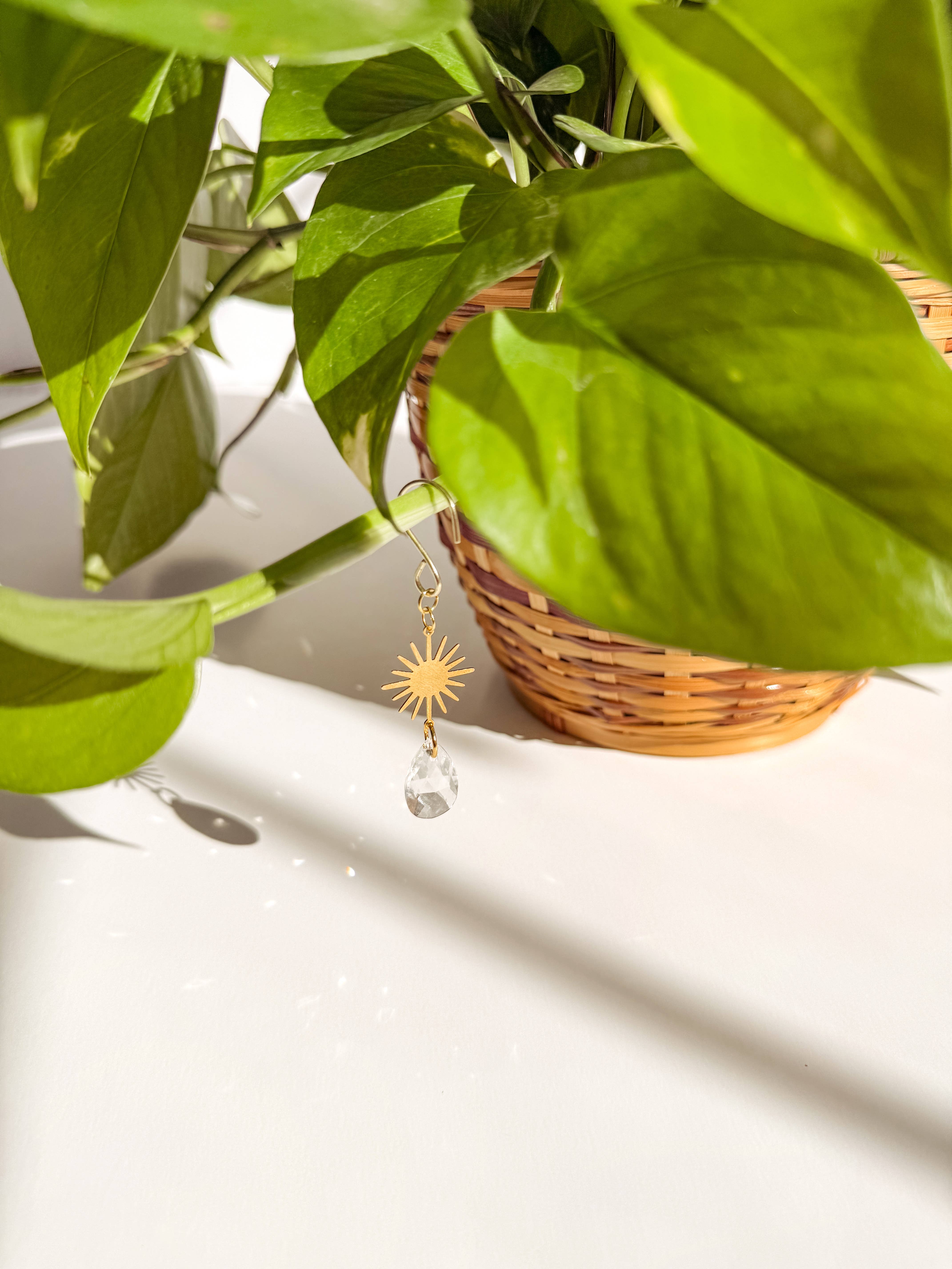 Meraki The Studio Co. - Wholesale Suncatcher - Plant Charm | Suncatcher + Sun | Houseplant Accessories3