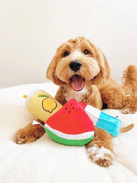 TONBO - Wholesale Pet Plush Toy - Dog - TONBO Summertime Combo - Dog Toys, Popsicle, Watermelon1