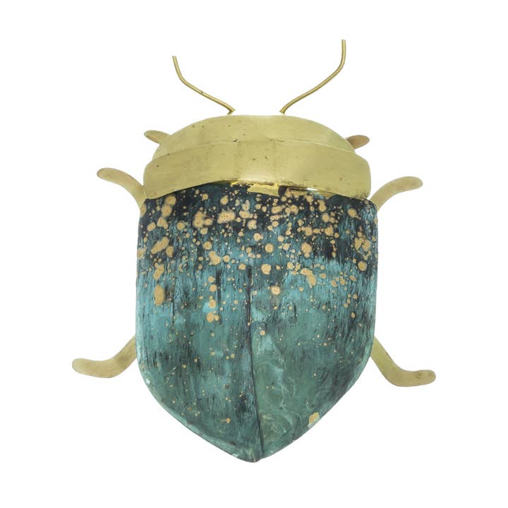 Scoléoptère pour la vente par Sibilia