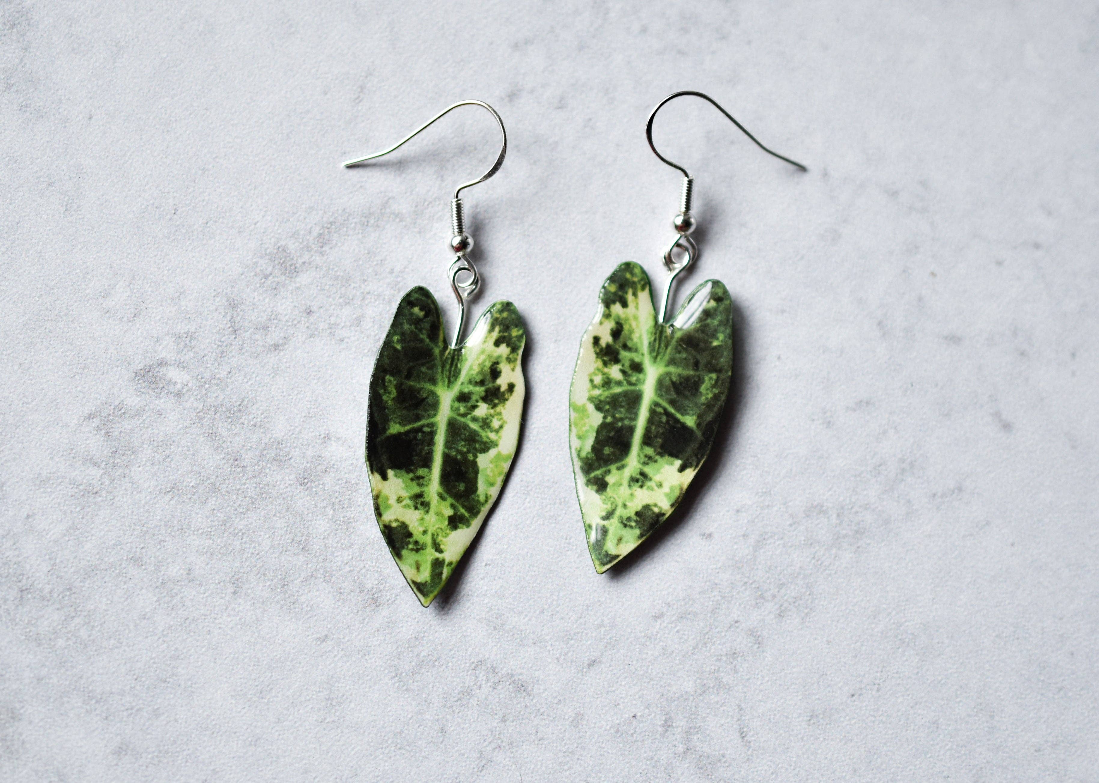 For the Love of Foliage - Wholesale Dangle Earrings - Variegated Alocasia Frydek Plant Earrings | Leaf Earrings1