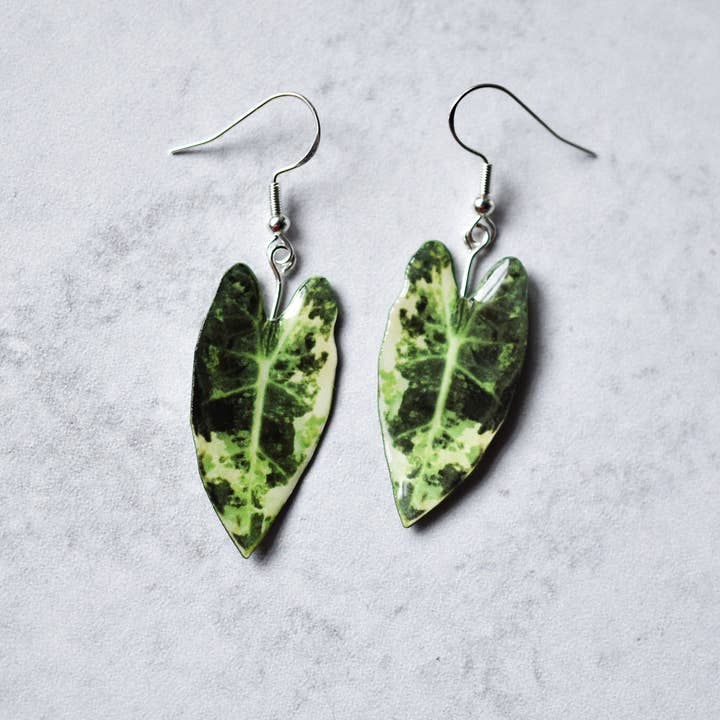 For the Love of Foliage - Wholesale Dangle Earrings - Variegated Alocasia Frydek Plant Earrings | Leaf Earrings1