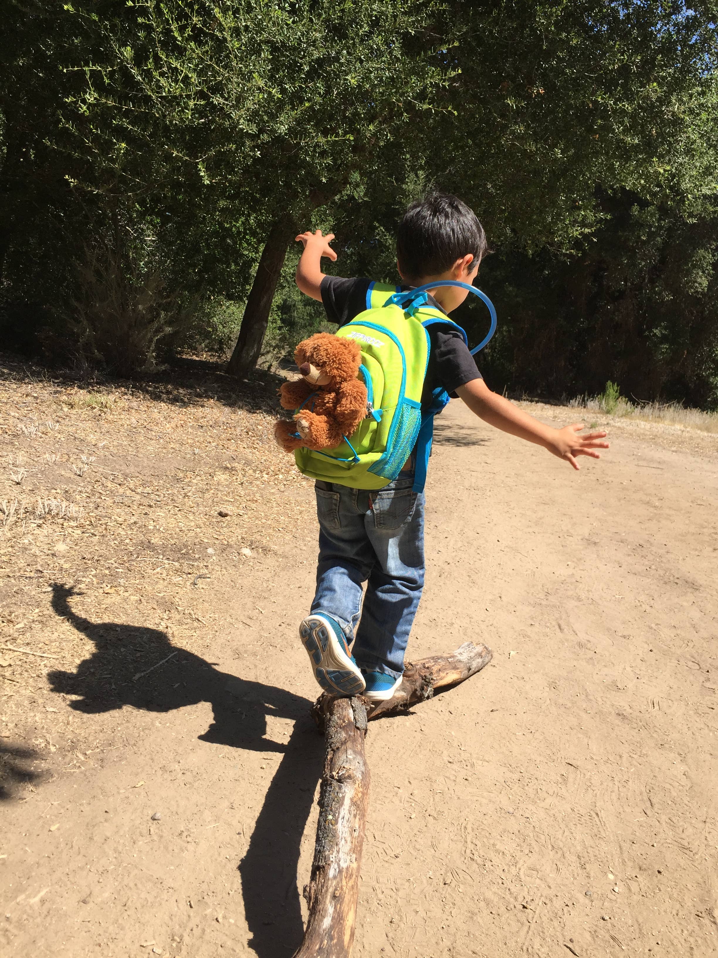 REMOVED BRAND - Wholesale Backpack - Kids - Toddler & Little Kids Hiking Backpack5