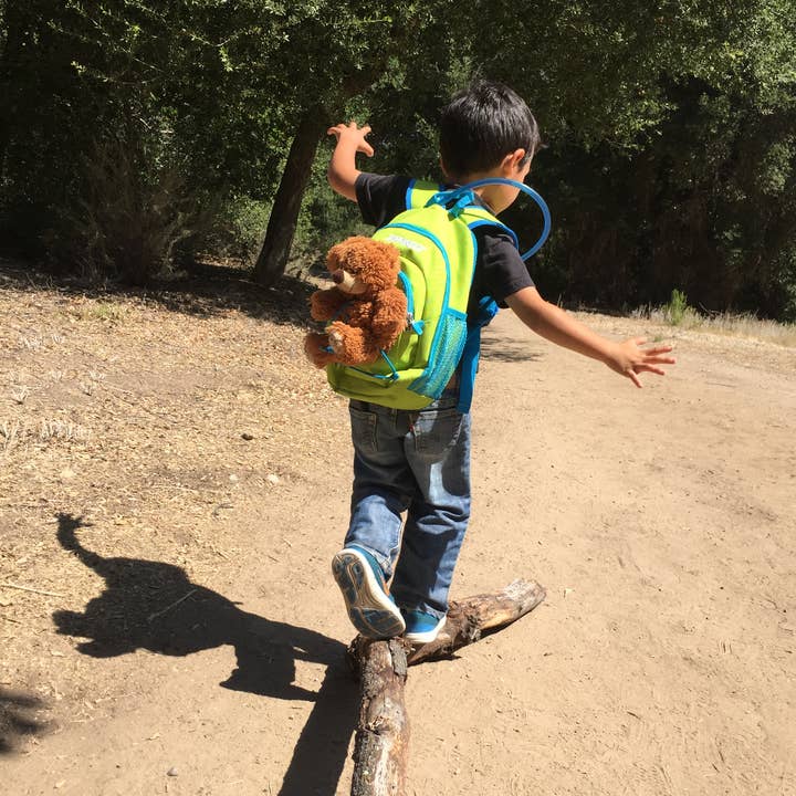 REMOVED BRAND - Wholesale Backpack - Kids - Toddler & Little Kids Hiking Backpack5